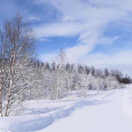 Wild Caribou'S Wildwood Cabin لاكسيلف المظهر الخارجي الصورة