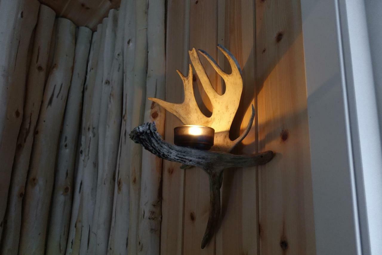 Wild Caribou'S Wildwood Cabin لاكسيلف المظهر الخارجي الصورة
